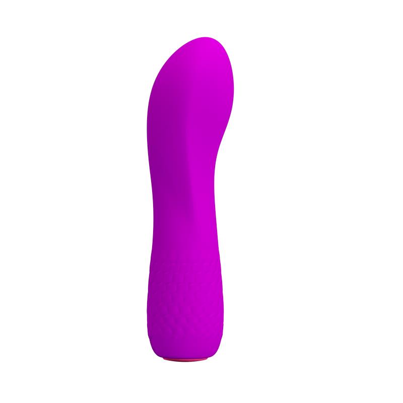 Vibrador Adam 12 Funções Roxo