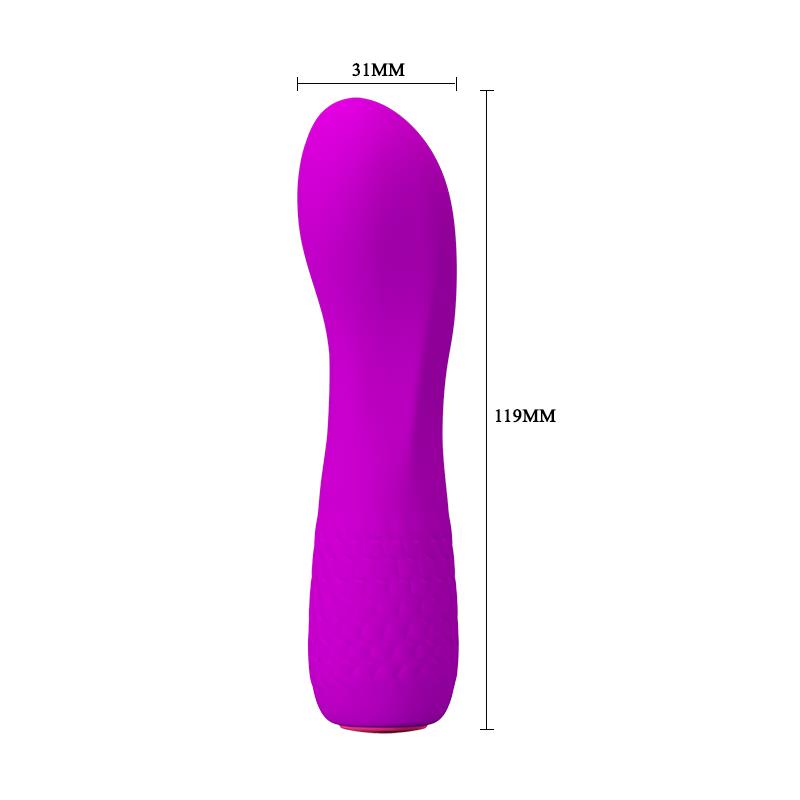 Vibrador Adam 12 Funções Roxo
